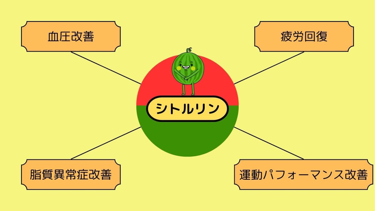 シトルリンが及ぼす健康効果