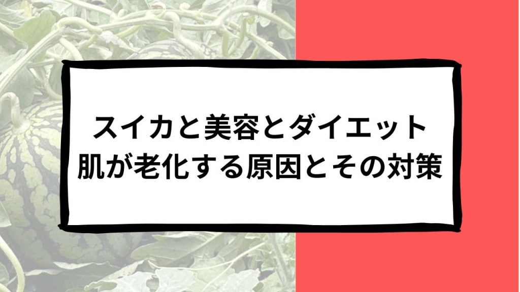スイカと美容とダイエット:肌が老化する原因とその対策について