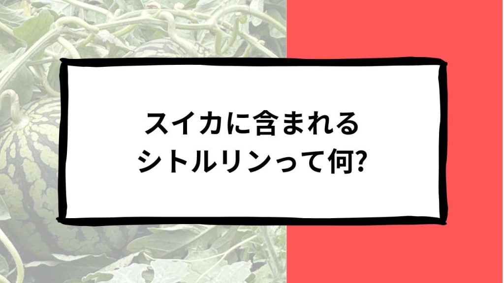 スイカの代表的な栄養素：シトルリンとその健康効果とは