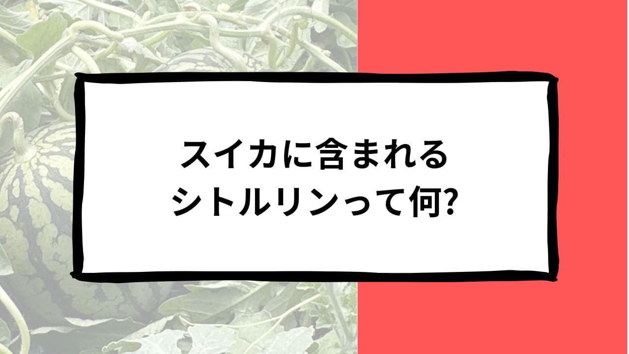 シトルリンタイトル