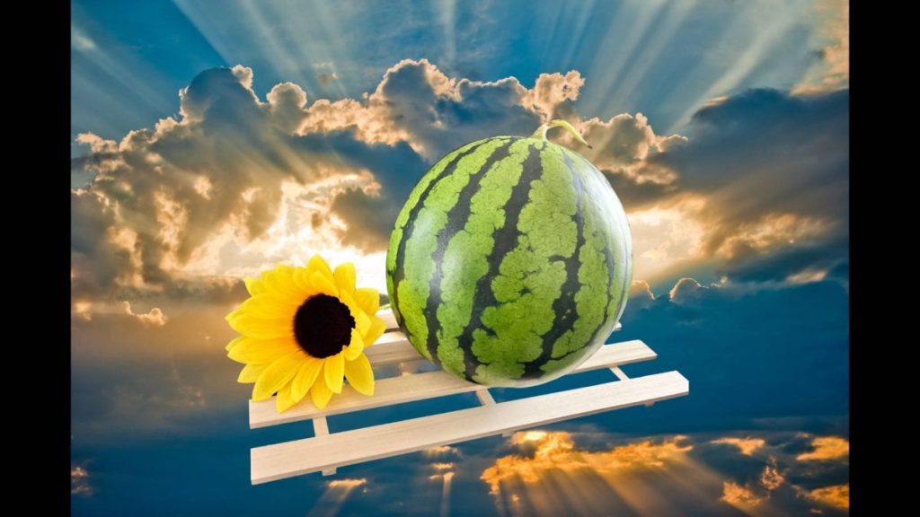 スイカで美容とダイエットをしよう