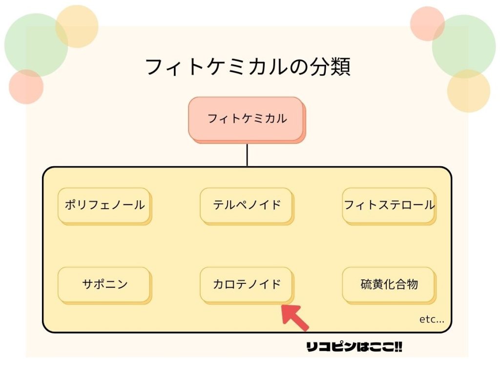 フィトケミカルの分類