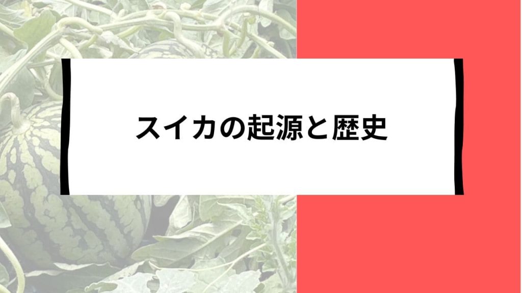 スイカの起源と歴史のタイトル画像