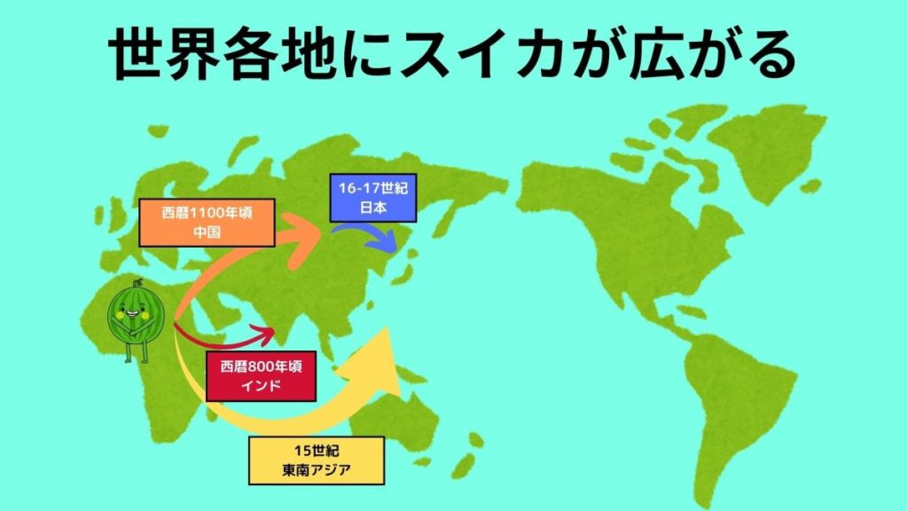 世界各地に広がるスイカ