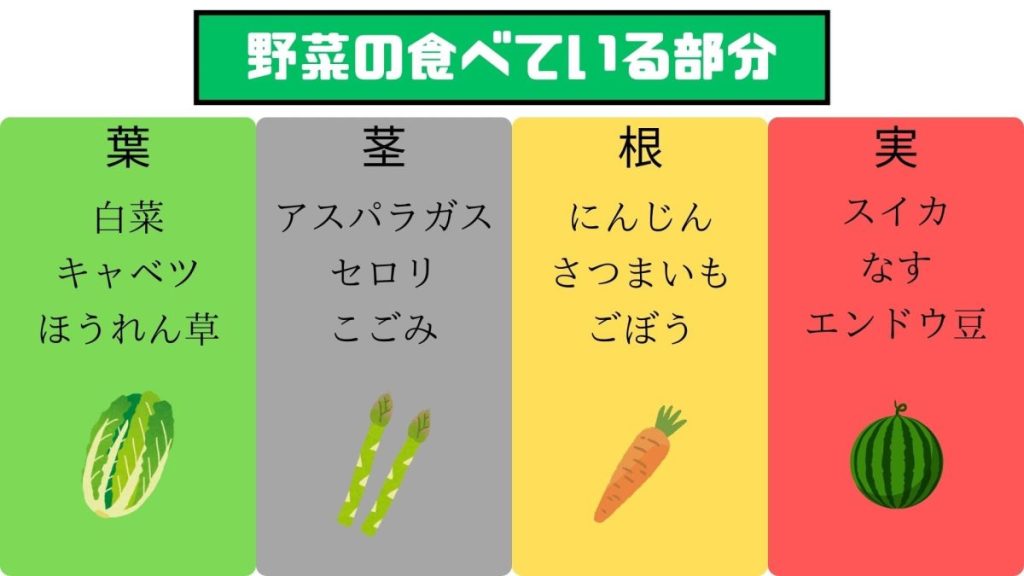 野菜の食べている部分についての図