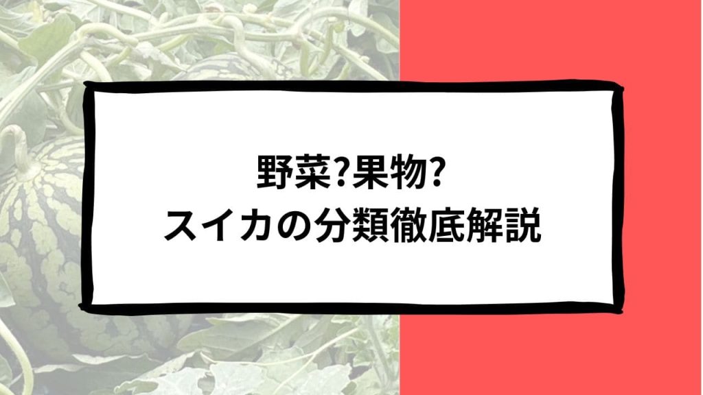 スイカの分類徹底解説：果物？野菜？科目はどこに属するのか？
