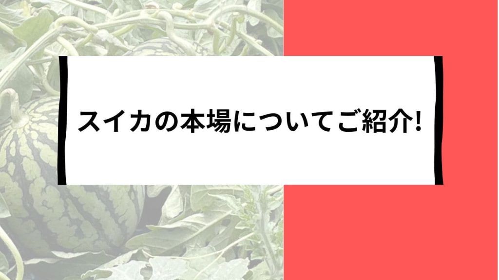スイカの本場を訪ねて：日本の名産地とその収穫時期を徹底解説