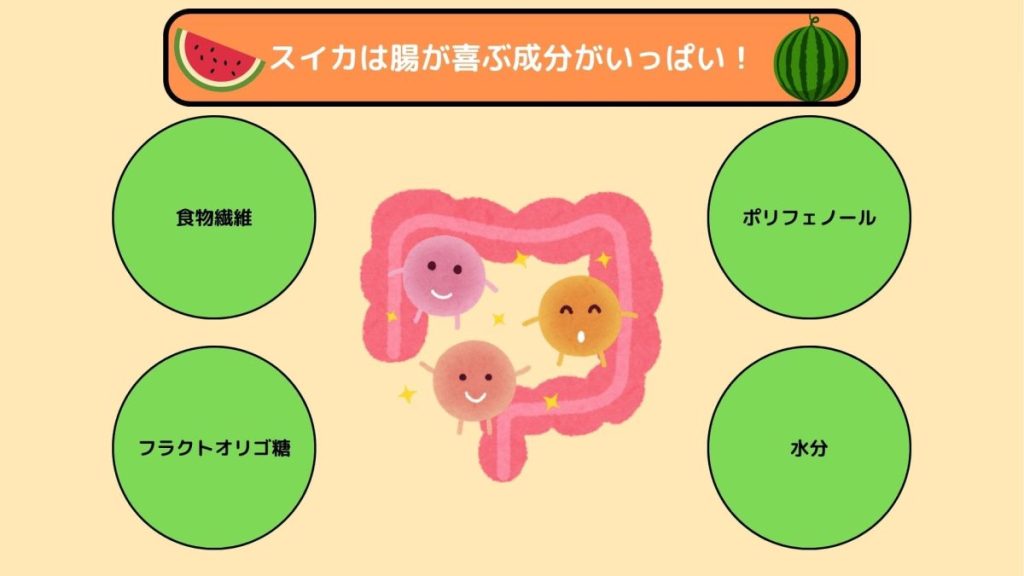 スイカは腸が喜ぶ成分がいっぱい