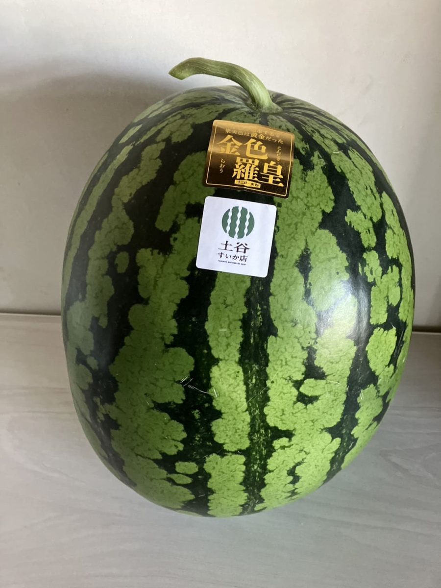 金色羅皇の斜め上タイトル画像