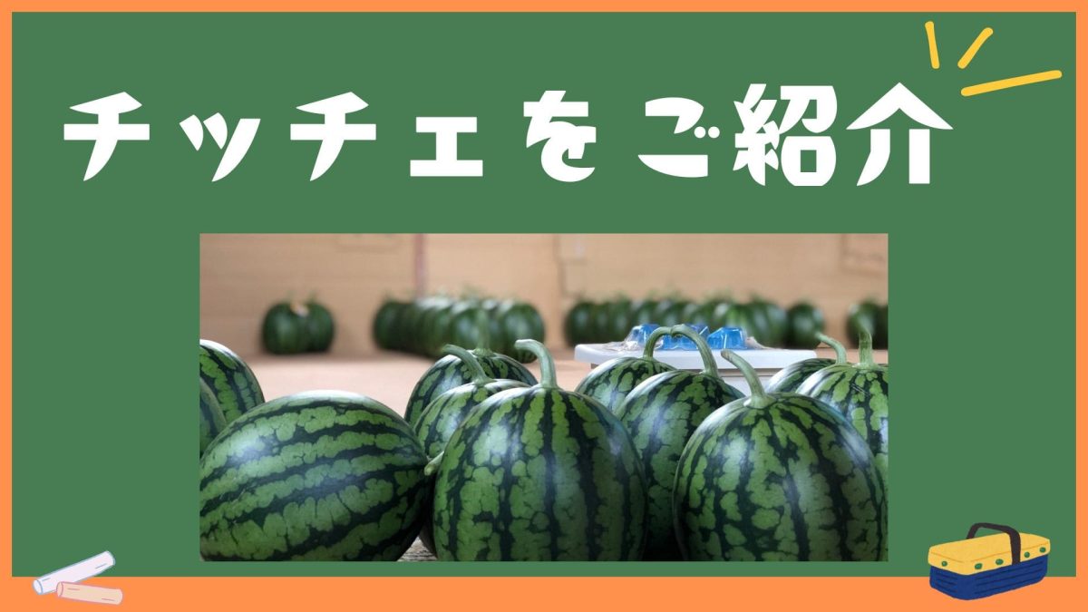 小玉スイカ：あきた夏丸チッチェをご紹介