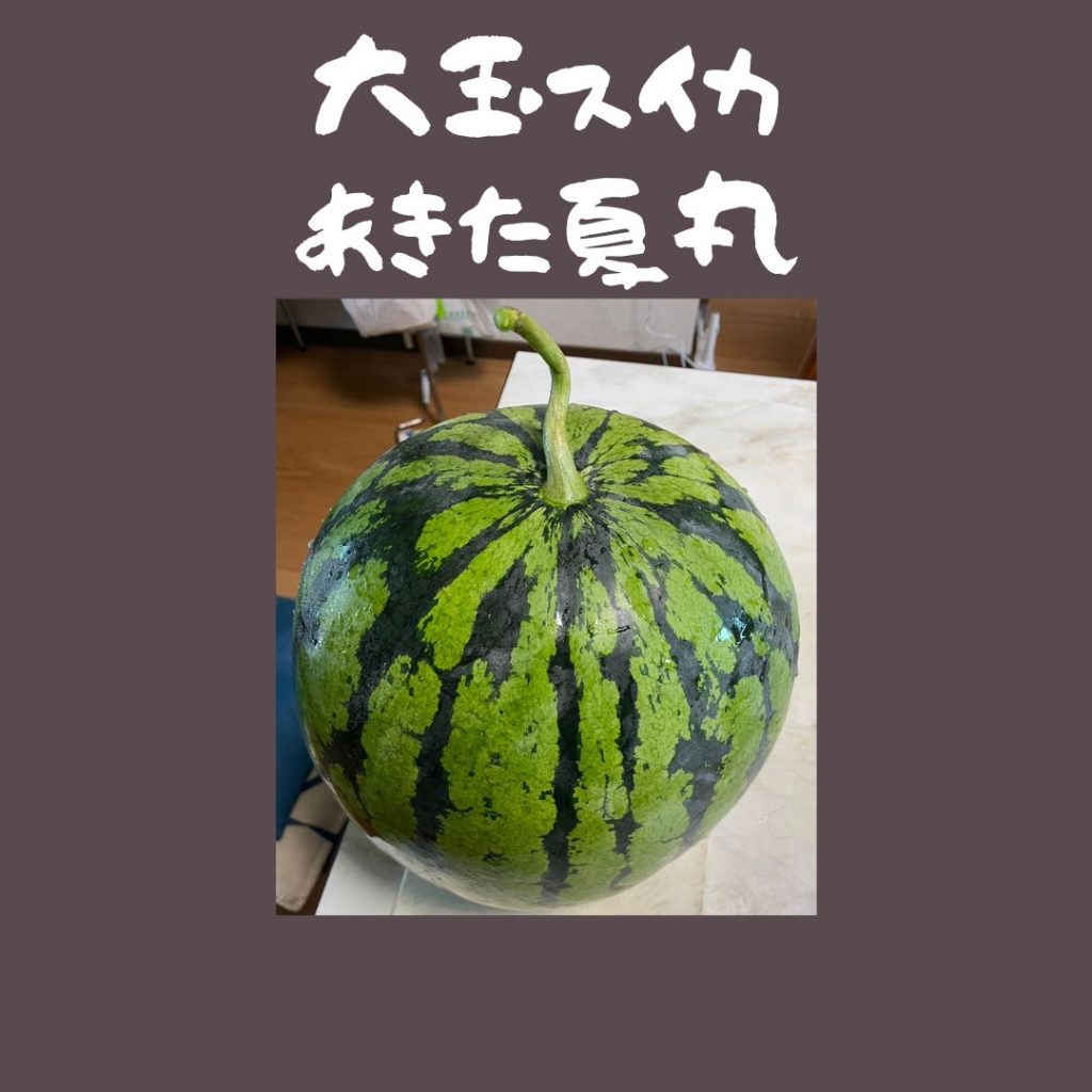大玉スイカ：あきた夏丸