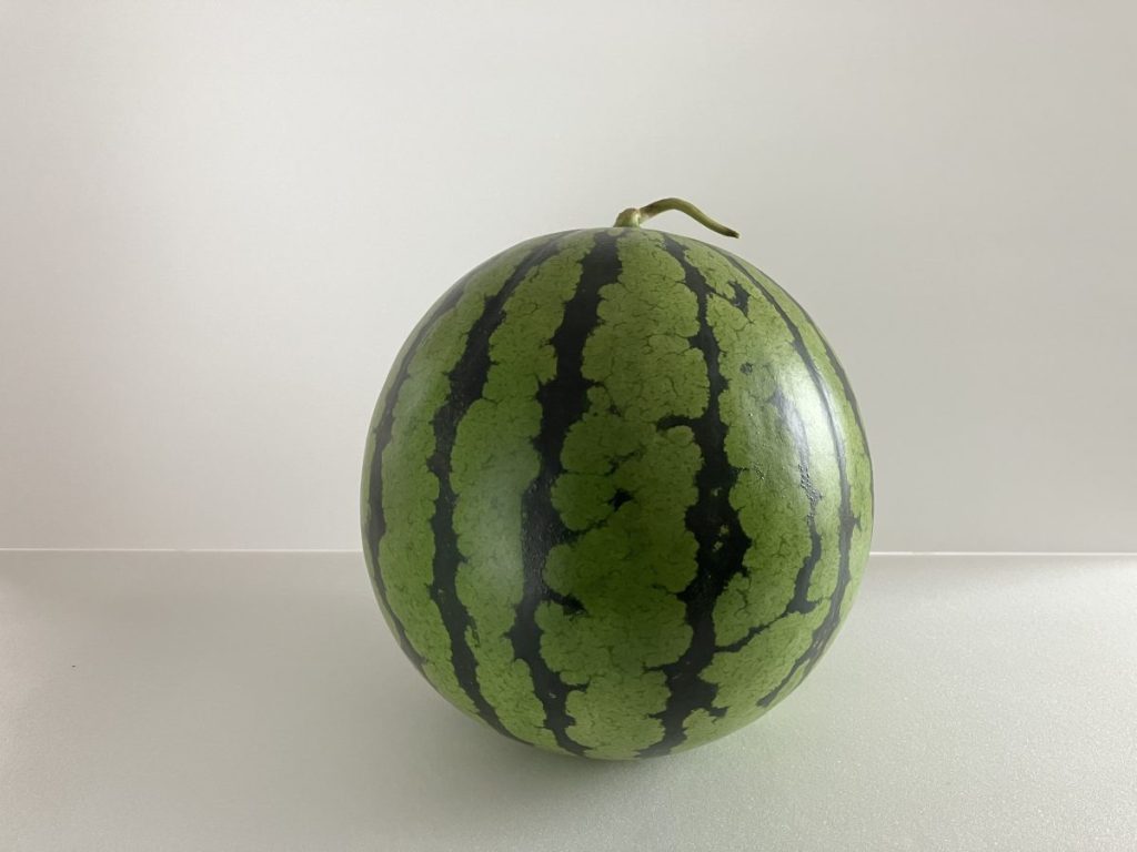 小玉スイカ：チッチェの正面像