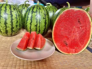 小玉スイカ:あきた夏丸チッチェ達