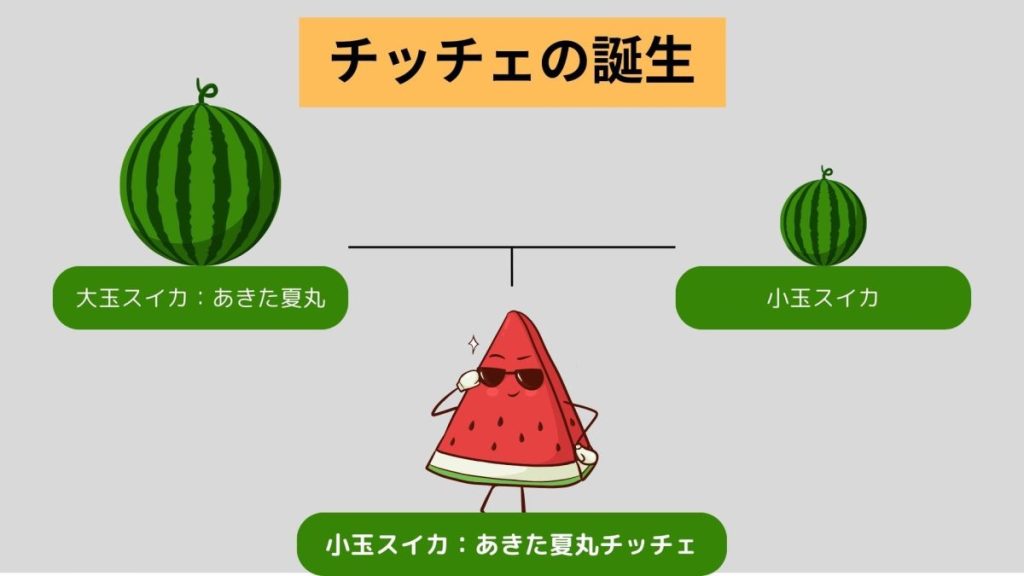 チッチェの家系図