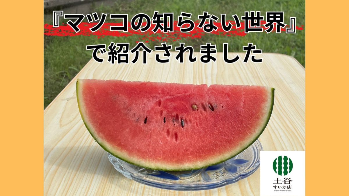 マツコの知らない世界でつちやすいか店が紹介されました