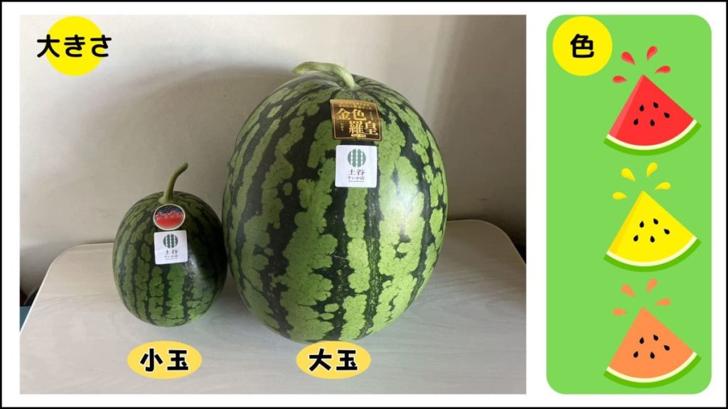 スイカの大きさと色についての説明