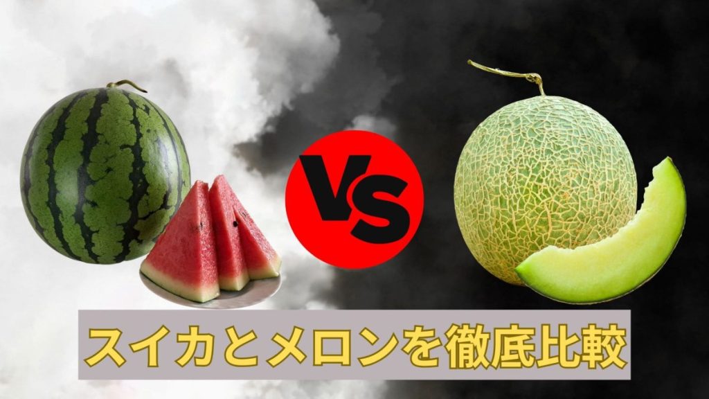 スイカとメロンを徹底比較！味・種類・大きさの違いと喜ばれるシーンをご紹介