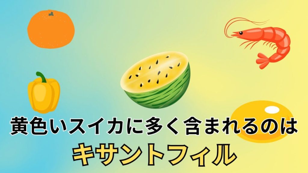 黄色いスイカに多く含まれるのは『キサントフィル』
