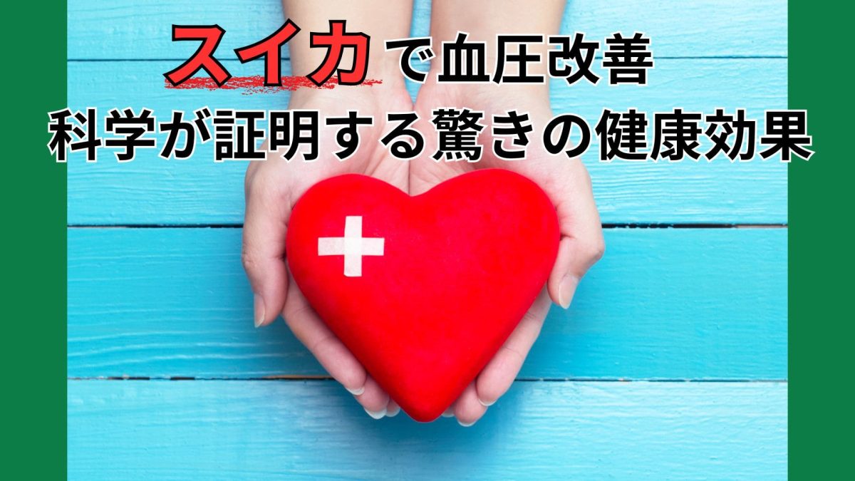 スイカで血圧改善 科学が証明する驚きの健康効果