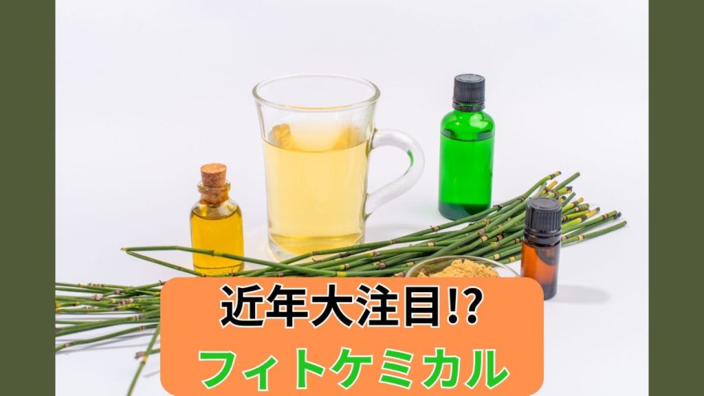 近年大注目! フィトケミカル