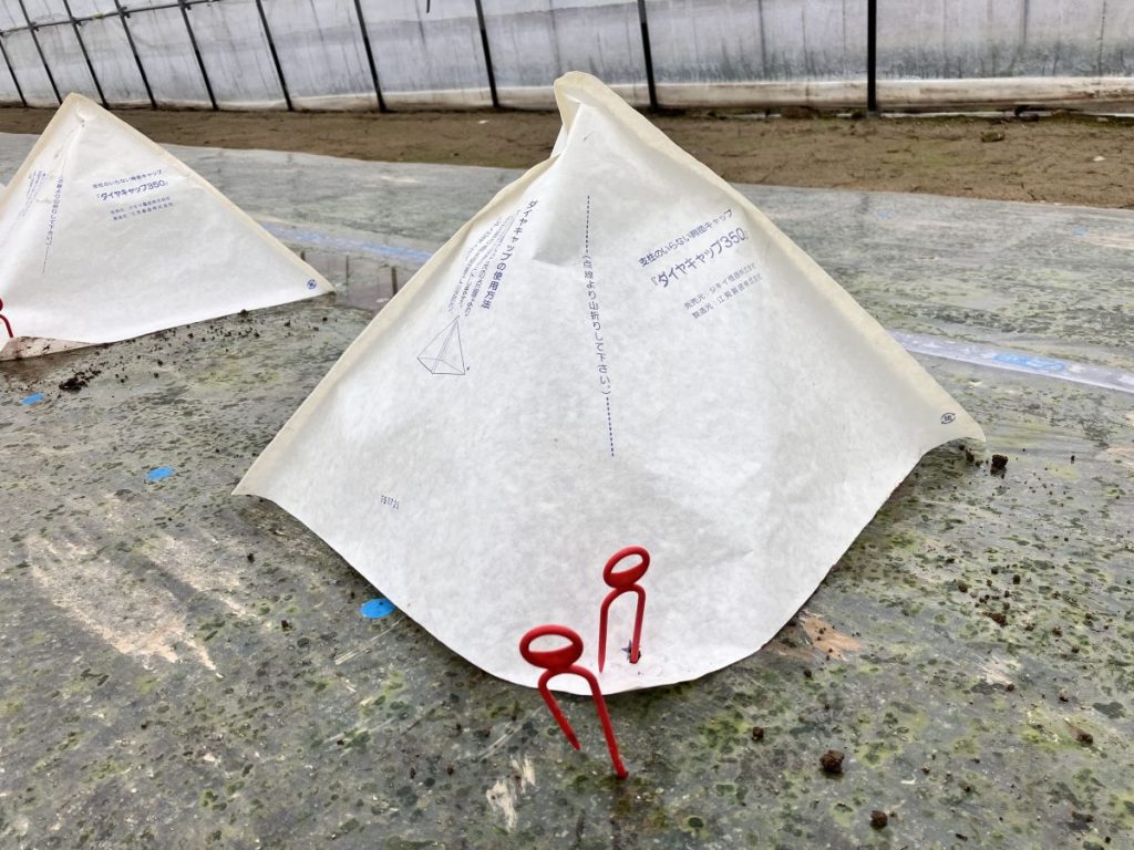 育苗キャップの画像