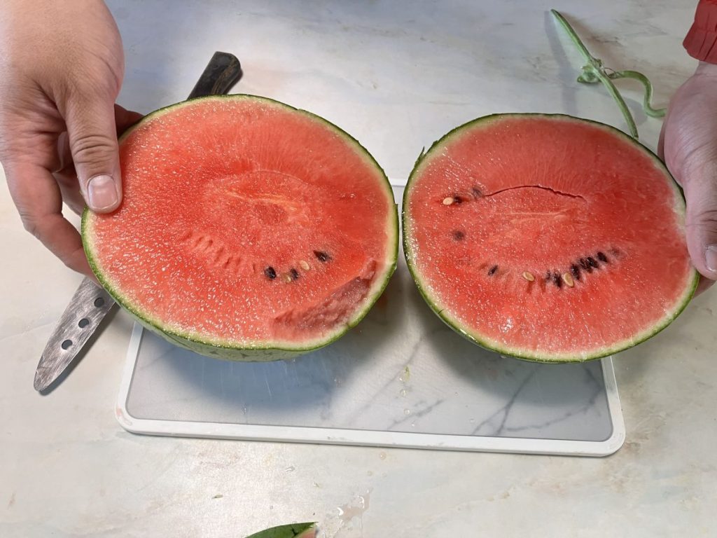スイカを二つに割った画像