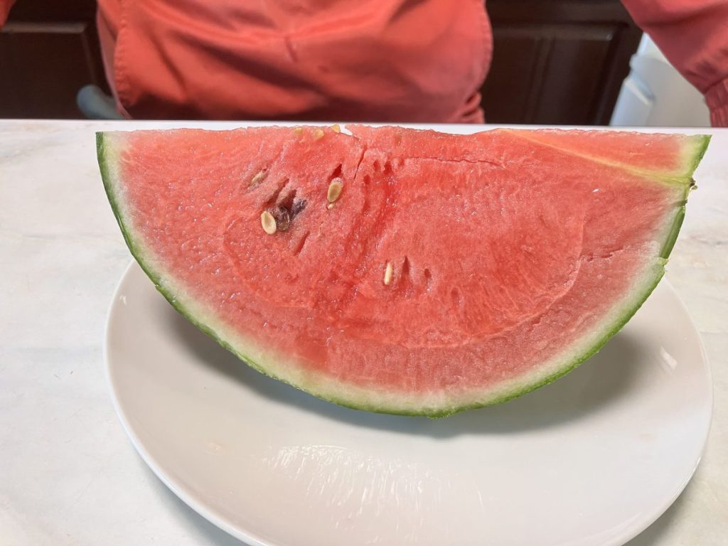 スイカ4分の１画像