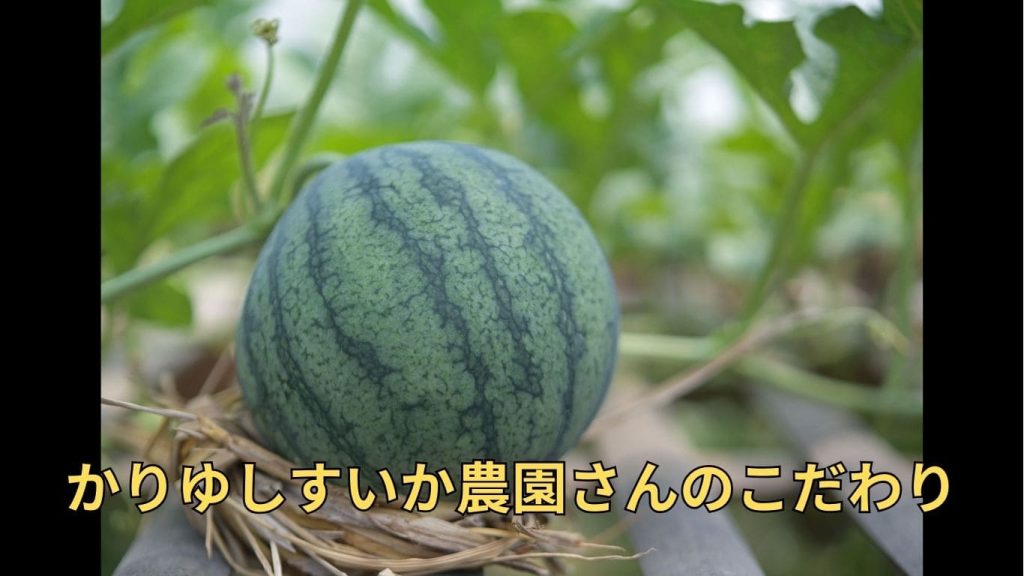 かりゆしすいか農園さんのこだわり