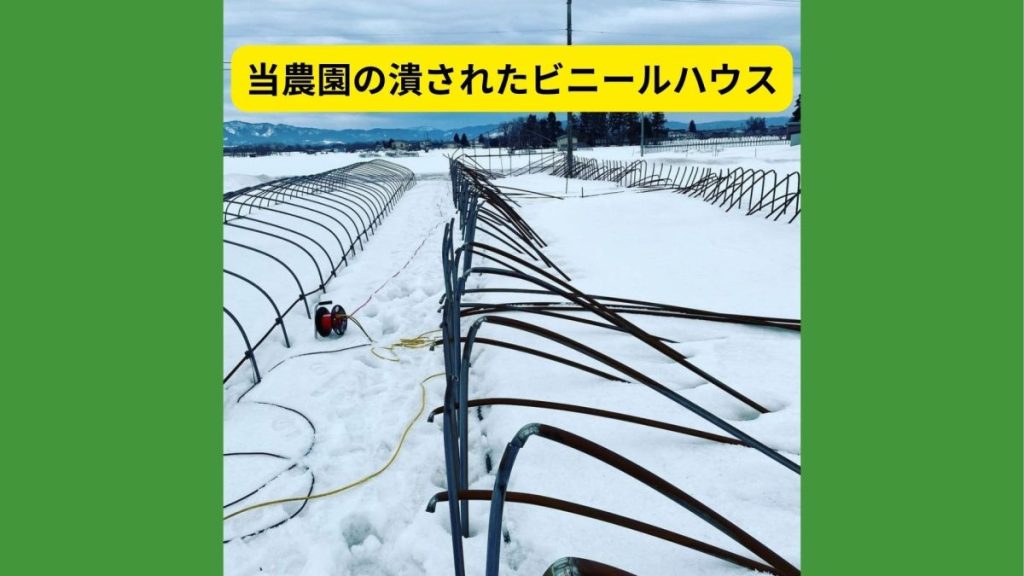 潰されたビニールハウス