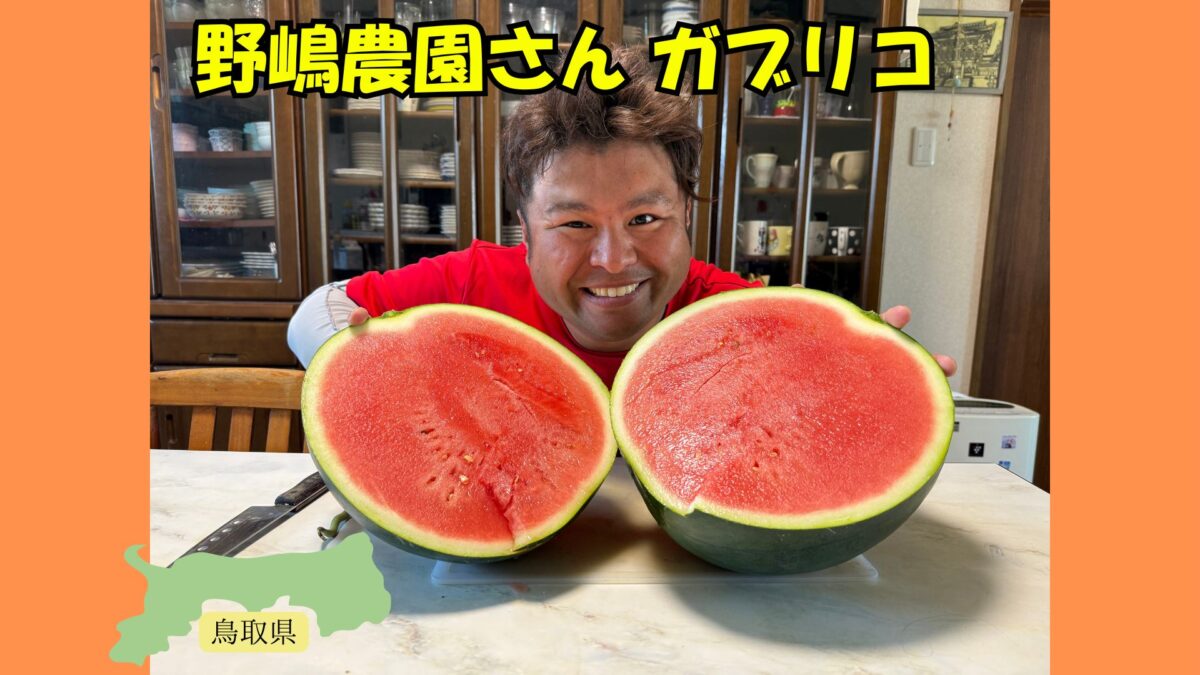 野嶋農園さんのガブリコ