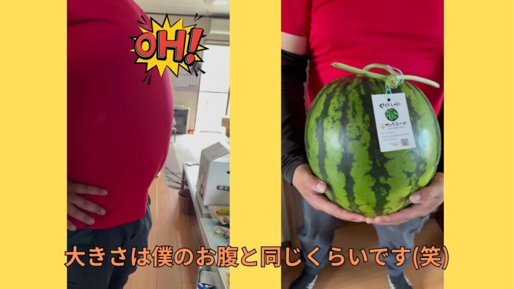スイカと僕のお腹