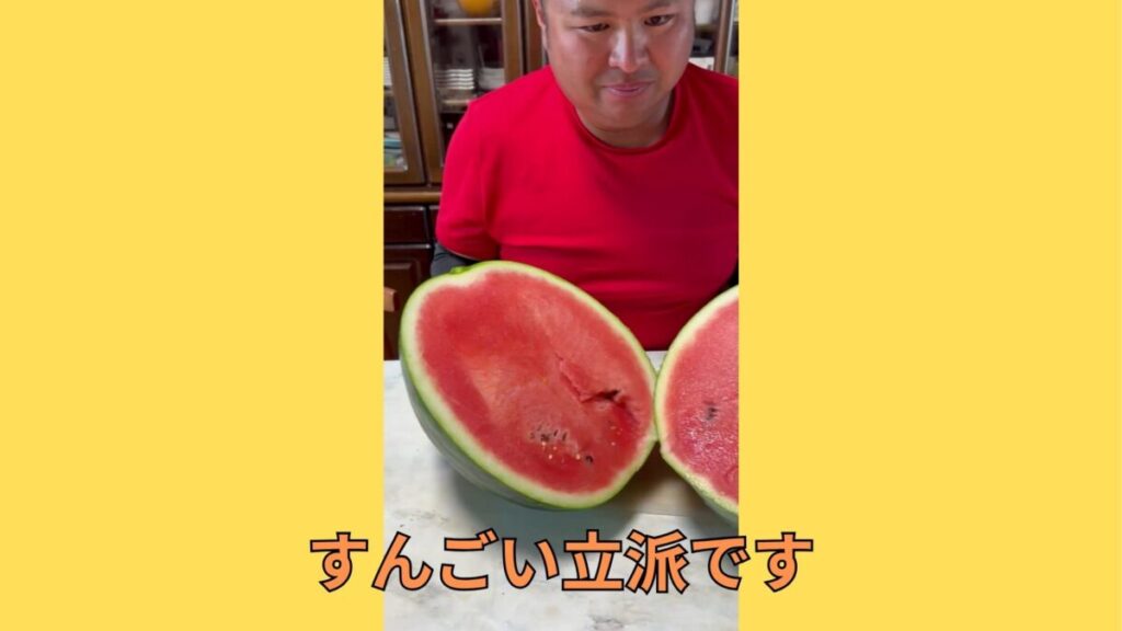 スイカの断面図