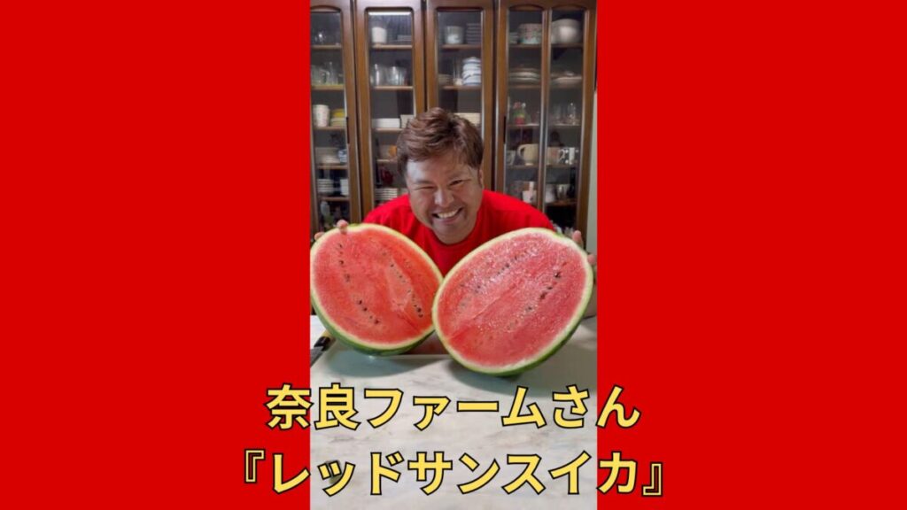 【千葉の夏の味覚】奈良ファームさんの「レッドサンスイカ」を食レポ！